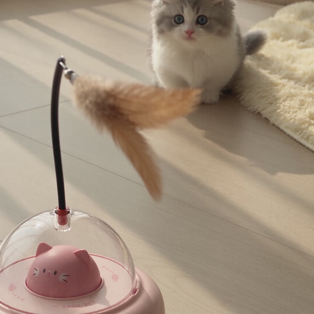 A grey and white kitten stalks and pounces at the feather on the pink automatic cat toy