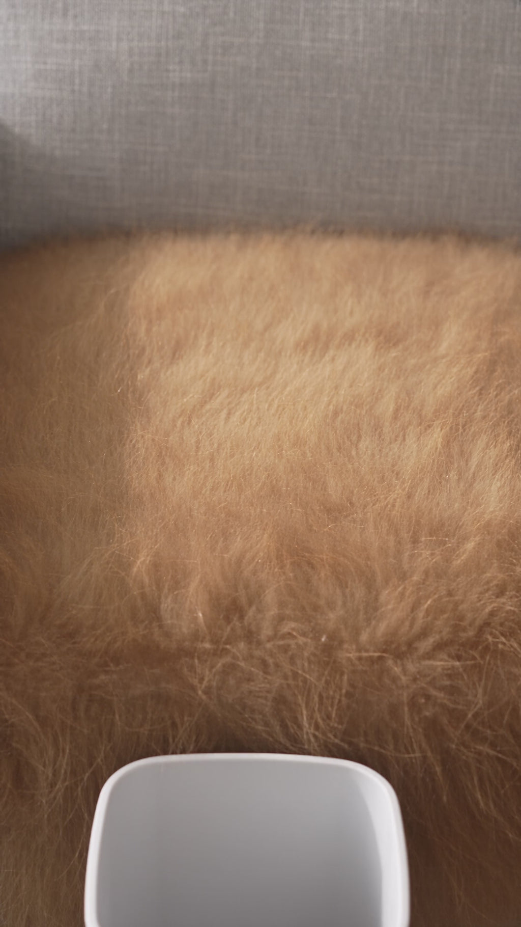 Reusable pet hair roller lifting fur off a sofa in clean strips